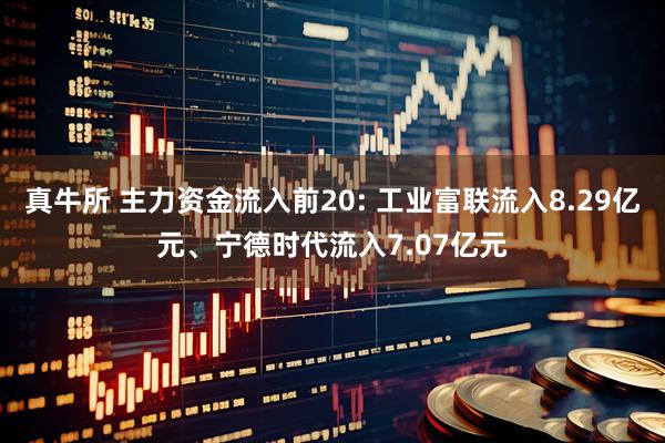真牛所 主力资金流入前20: 工业富联流入8.29亿元、宁德时代流入7.07亿元
