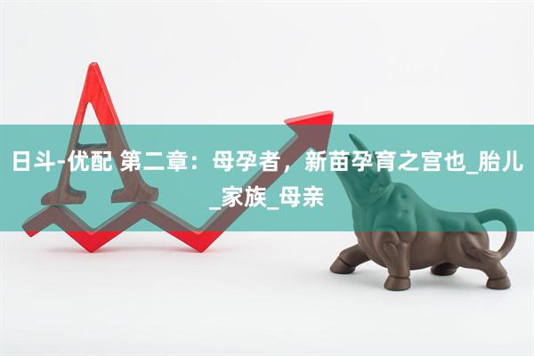 日斗-优配 第二章：母孕者，新苗孕育之宫也_胎儿_家族_母亲