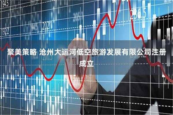 聚美策略 沧州大运河低空旅游发展有限公司注册成立